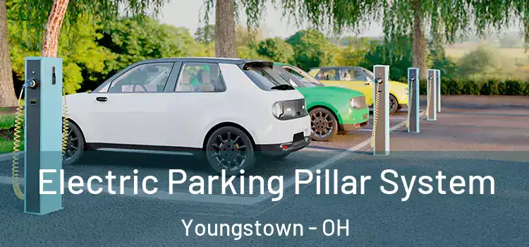  Electric Parking Pillar System Youngstown - OH