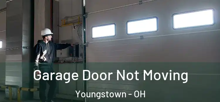 Garage Door Not Moving Youngstown - OH