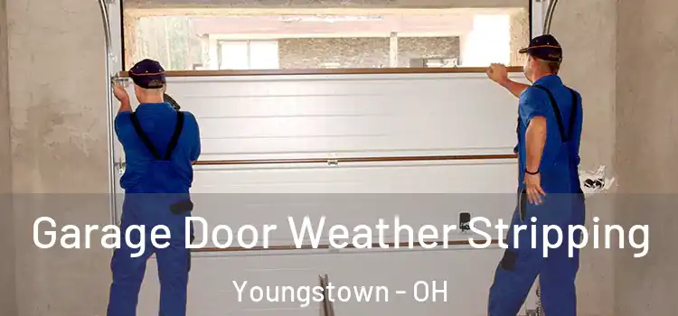  Garage Door Weather Stripping Youngstown - OH