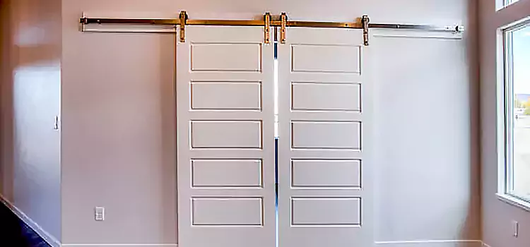 Glass Barn Door with Installation Hardware Kit Youngstown