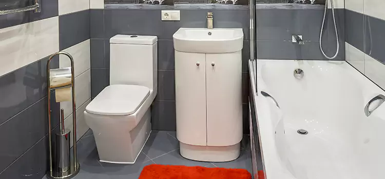 Hansgrohe Shaving Mirror Youngstown