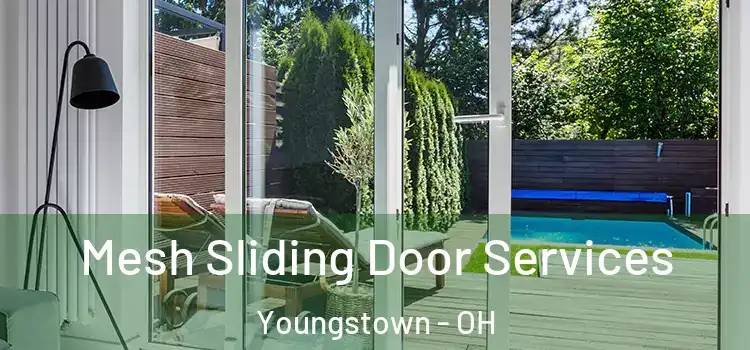  Mesh Sliding Door Services Youngstown - OH