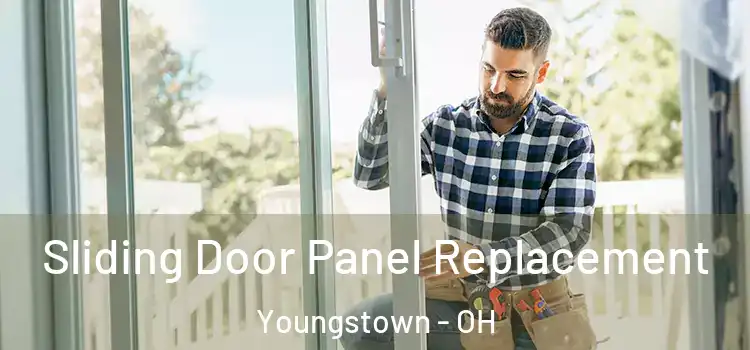  Sliding Door Panel Replacement Youngstown - OH